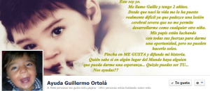 Ayuda a Guillermo Ortolá